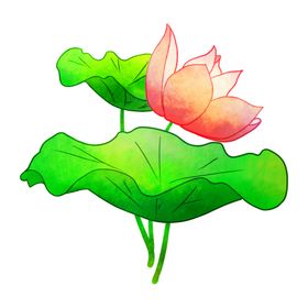 荷花元素