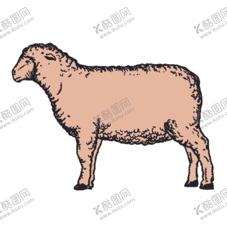 编号：53026209211634154395【酷图网】源文件下载-家养动物主题插画