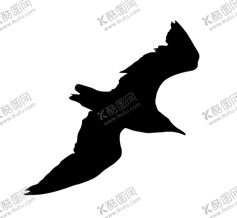 编号：44485110072307105419【酷图网】源文件下载-海鸥