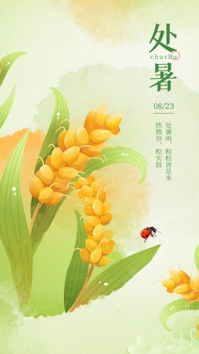 简约中国风二十四节气处暑节气