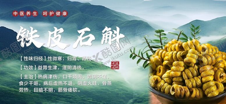 编号：70916602130800099404【酷图网】源文件下载-铁皮石斛