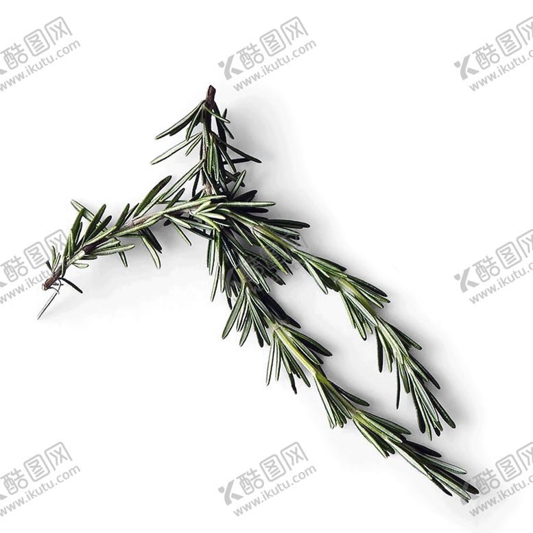 编号：97995807121144271131【酷图网】源文件下载-绿色植物