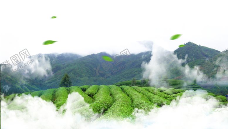 编号：85798710311031155471【酷图网】源文件下载-茶山