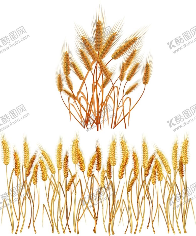 编号：47151210220431333635【酷图网】源文件下载-小麦