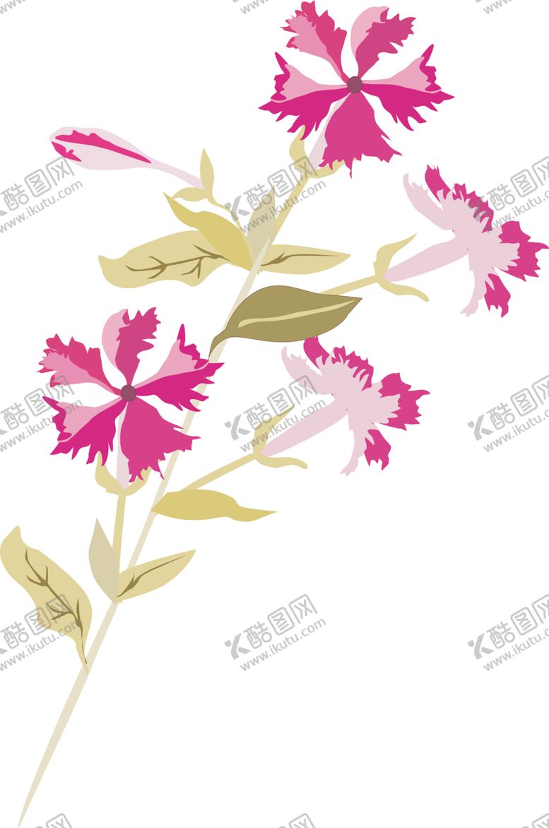 编号：35792106280325162357【酷图网】源文件下载-鲜花素材