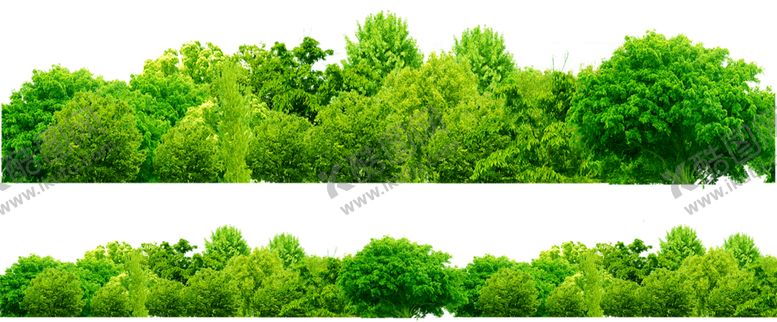 编号：74695009280300374937【酷图网】源文件下载-绿色背景