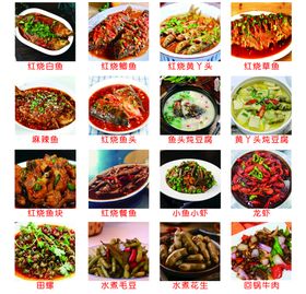 美食图片16道菜