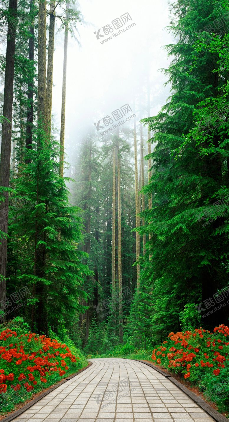 编号：13746709132212268652【酷图网】源文件下载-玄关