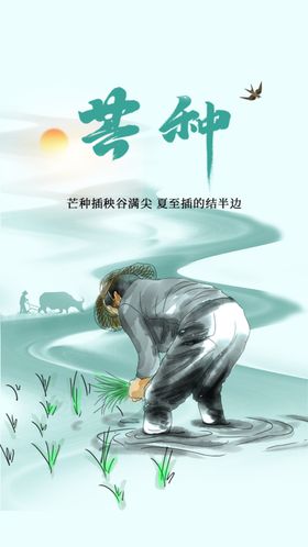 芒种宣传节气海报
