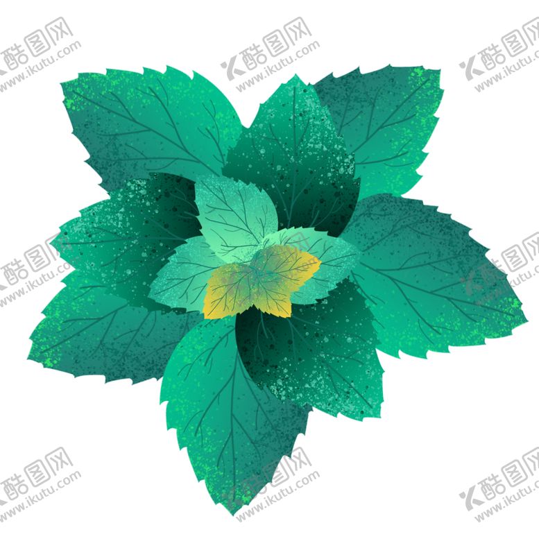 编号：98271505042104104347【酷图网】源文件下载-薄荷植物元素