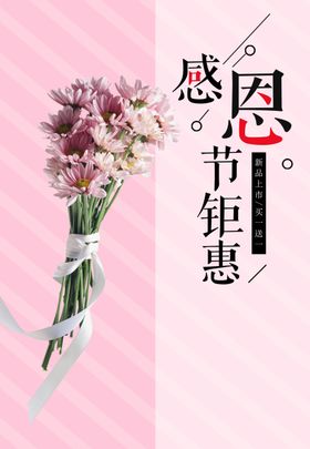 感恩节感恩节钜惠