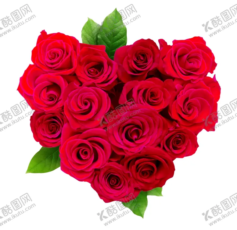 编号：51874506252313327153【酷图网】源文件下载-玫瑰花