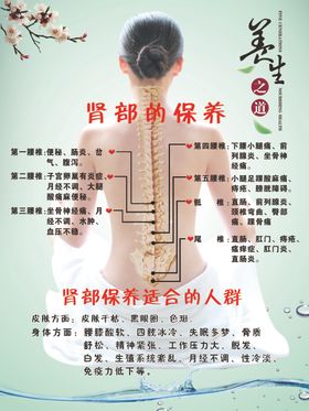 中医经络养生穴位图