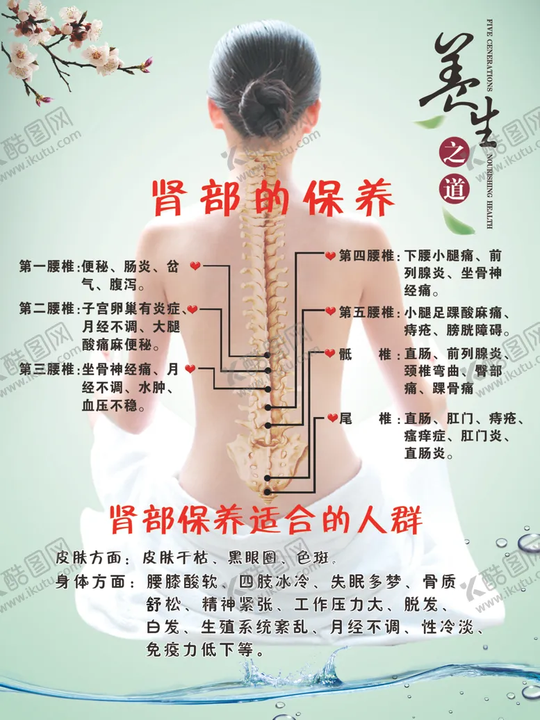 编号：46584206251342567467【酷图网】源文件下载-养生穴位图