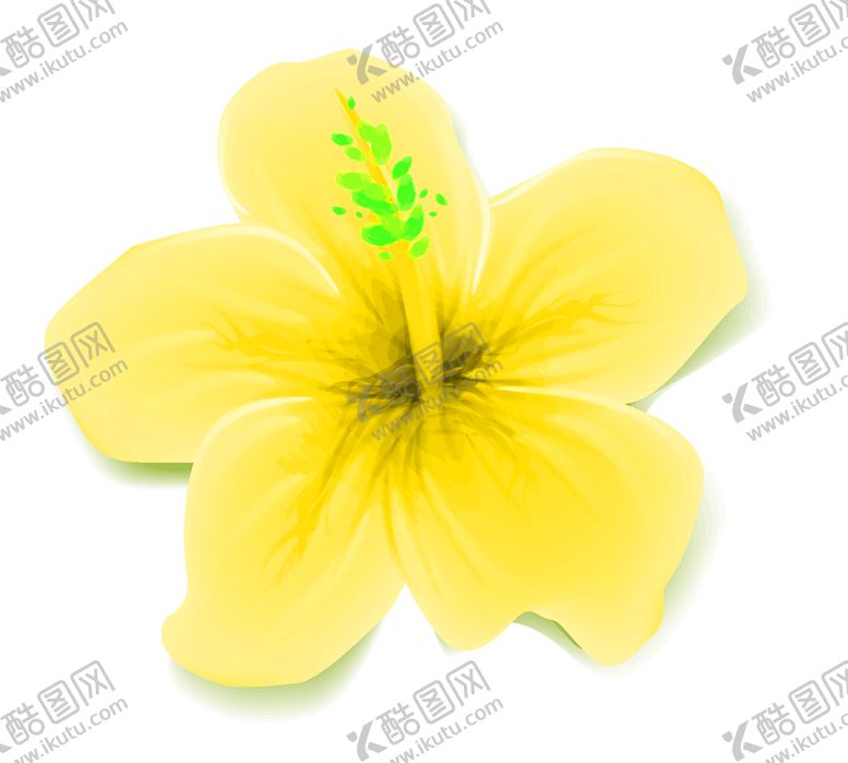 编号：83838707121651599509【酷图网】源文件下载-花素材