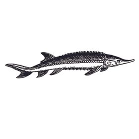 海洋生物鱼类图案