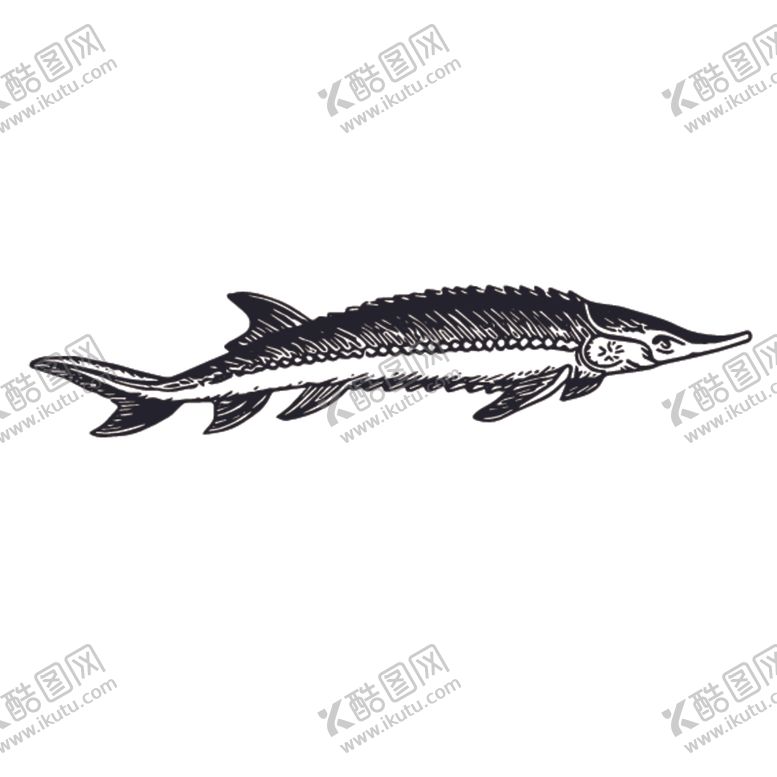 编号：14057711010111101526【酷图网】源文件下载-海洋生物鱼类图案