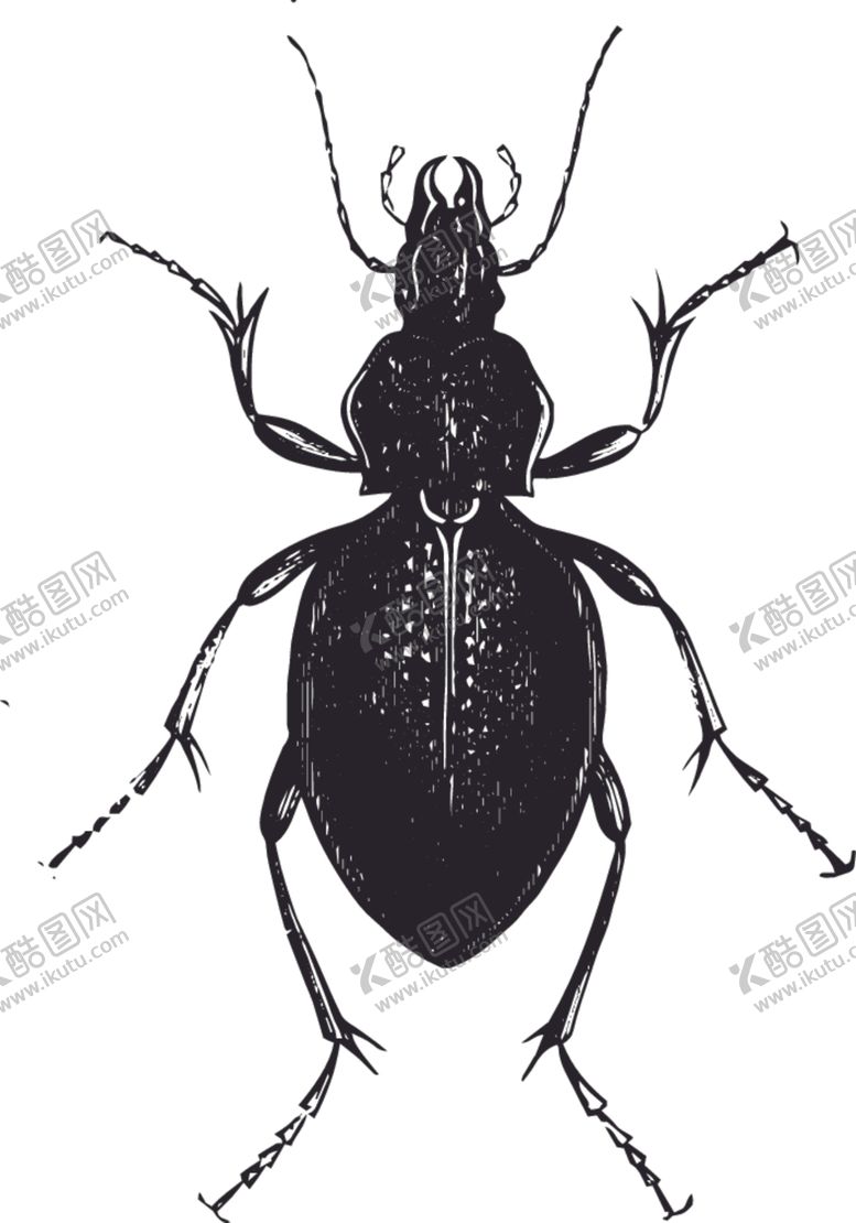 编号：18498109212307202717【酷图网】源文件下载-自然昆虫蝴蝶标本插画