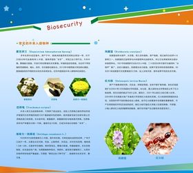 校园生物安全教育