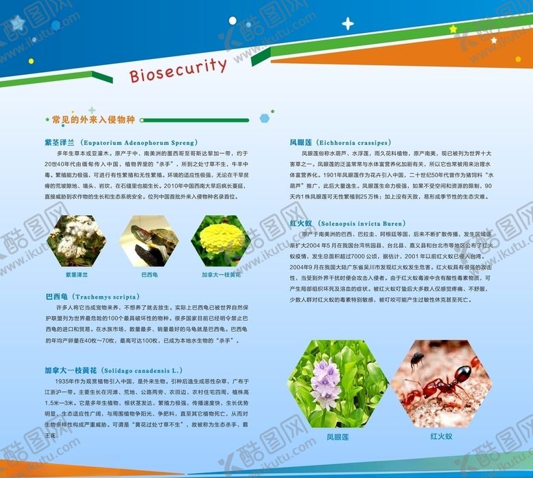 编号：32307706260706445631【酷图网】源文件下载-校园生物安全教育