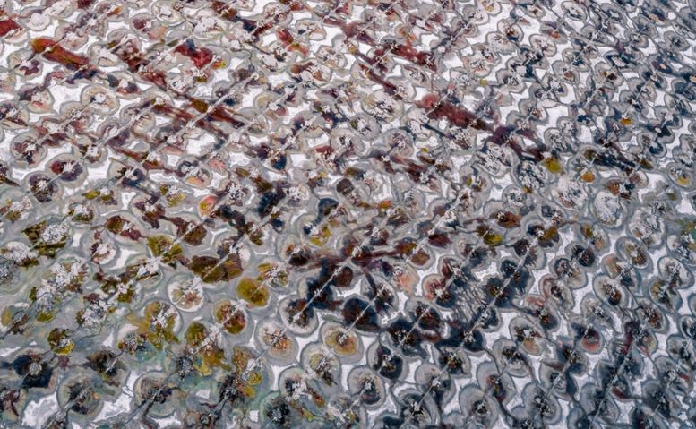 编号：64573310020750544199【酷图网】源文件下载-艺术装饰图艺术工艺纯艺术