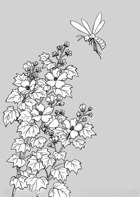 日本线描植物花卉矢量素材