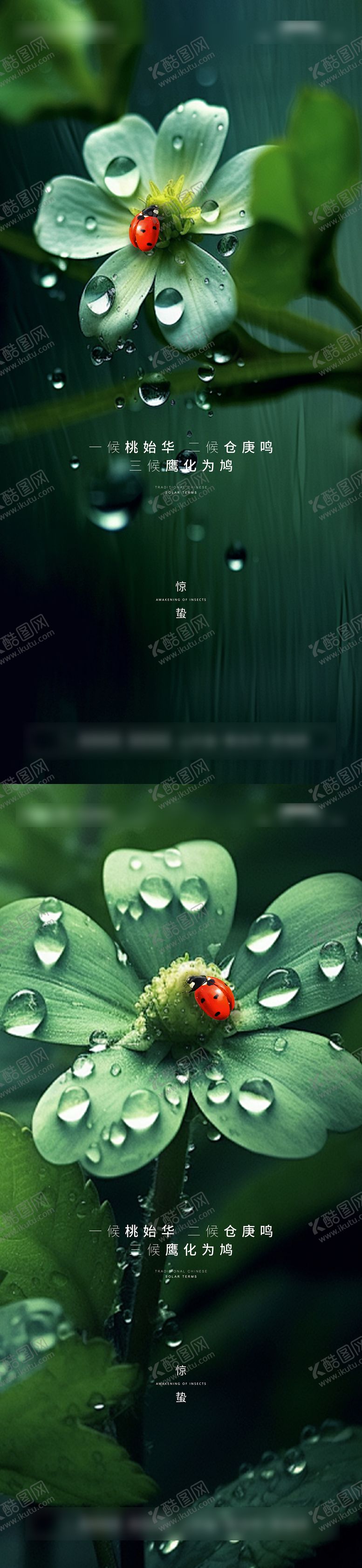 编号：89466502281219102089【酷图网】源文件下载-惊蛰节气海报