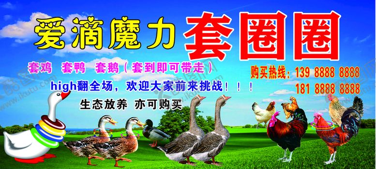 编号：33920110271346158447【酷图网】源文件下载-爱滴魔力  套圈圈  套鸡