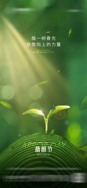 地产植树节海报苗叶发芽阳光