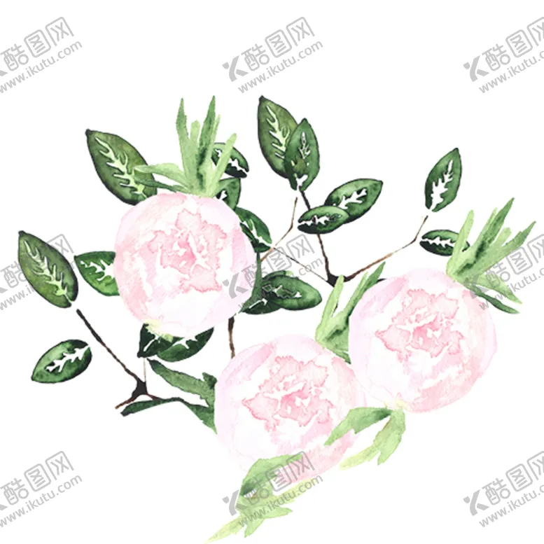 编号：17839509232044564527【酷图网】源文件下载-水彩粉色花卉