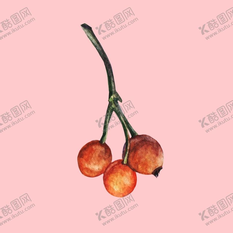 编号：79980407122342317600【酷图网】源文件下载-水彩植物