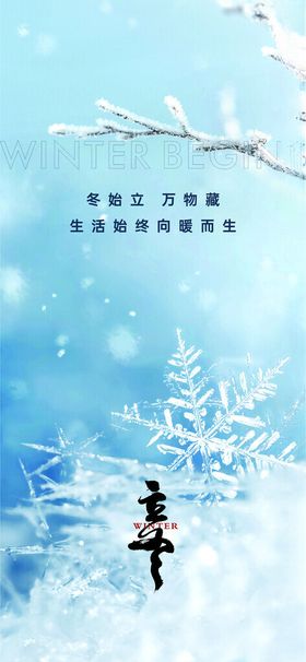 立冬小雪大雪小寒大寒海报