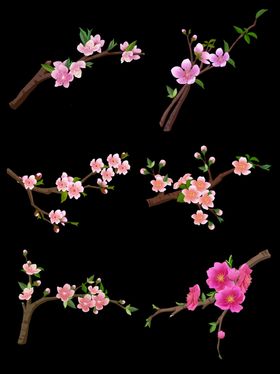 桃花