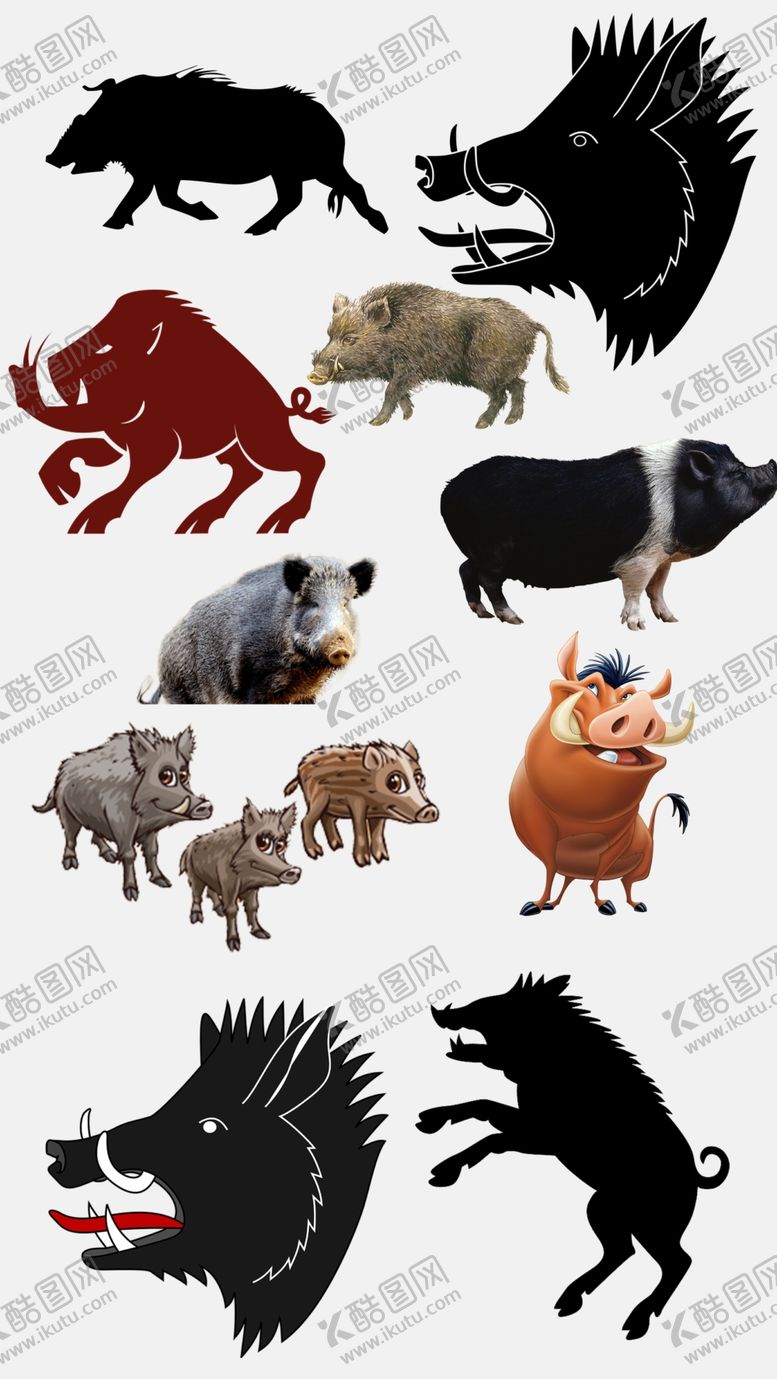编号：29403509171915467394【酷图网】源文件下载-高清免扣野猪素材