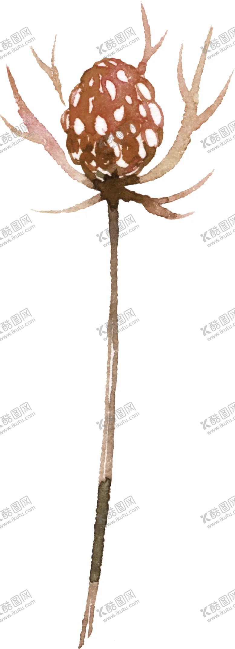 编号：93373410200909428232【酷图网】源文件下载-水彩手绘花卉花朵植物