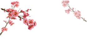 手绘粉色樱花免扣素材图片