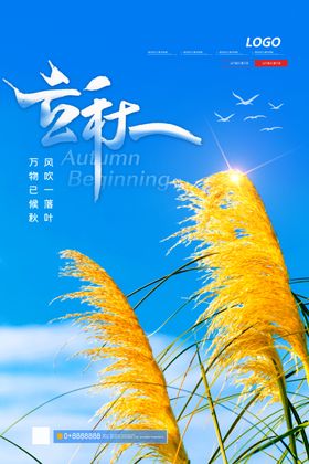 立秋