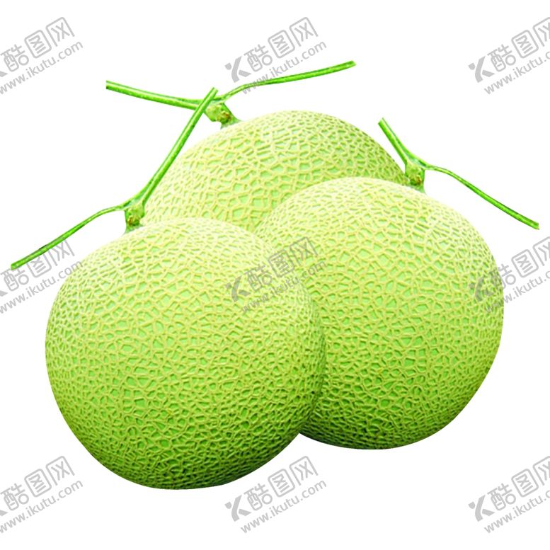 编号：83612610031045341086【酷图网】源文件下载-哈密瓜