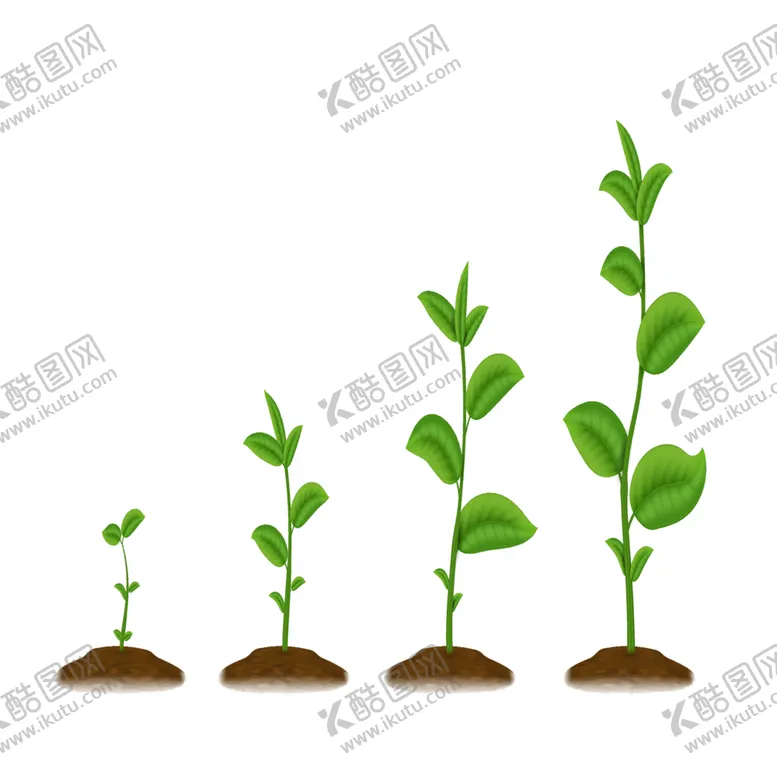 编号：45272202041522371073【酷图网】源文件下载-现实的豆芽绿色植物生长的阶段