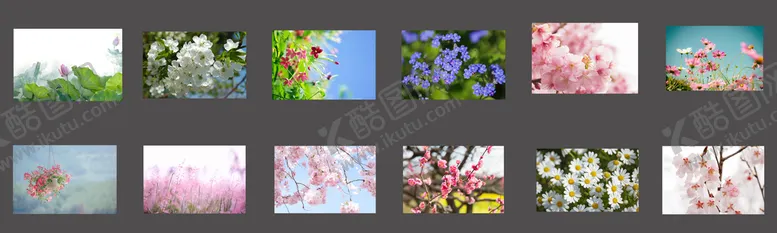 编号：60453709200229587520【酷图网】源文件下载-唯美花朵花卉花海风景背景