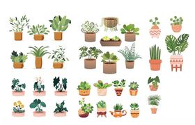 多样盆栽植物插画集合