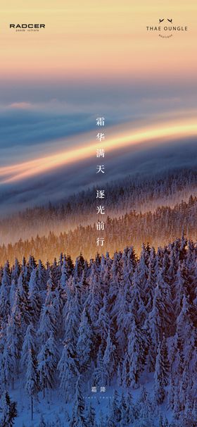 霜降洋房飞机稿设计广告设计地产广告