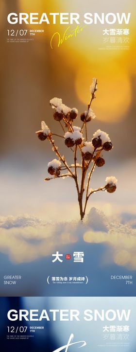 大雪节气海报