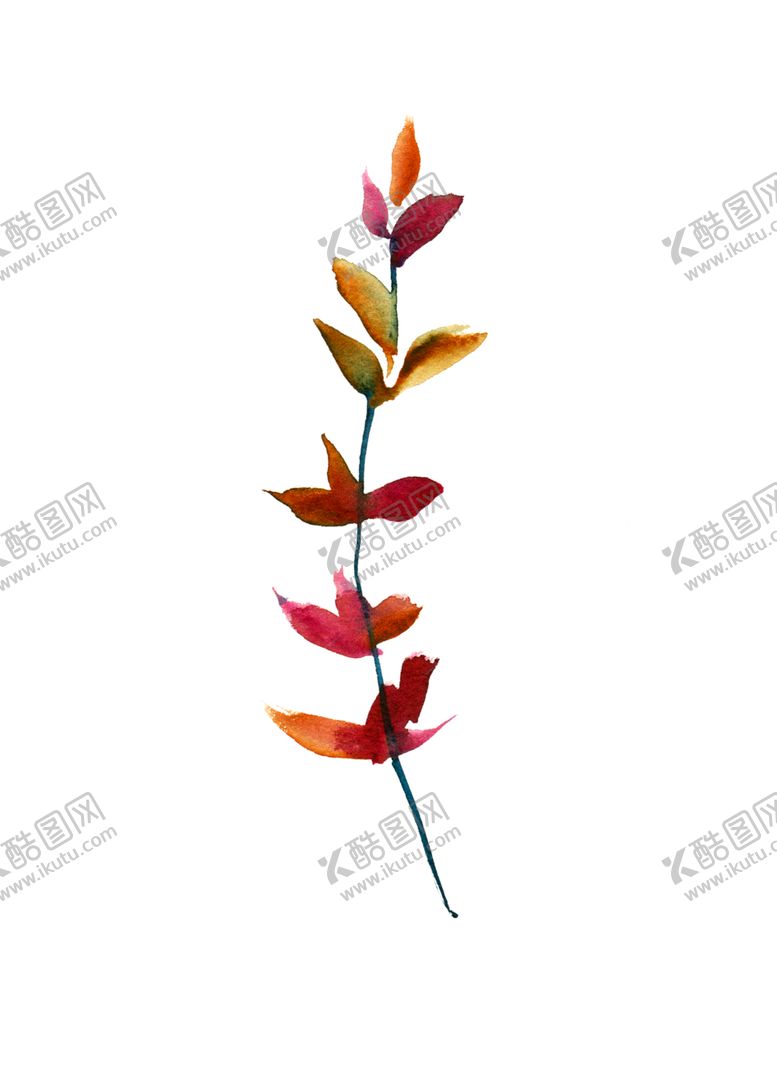 编号：81046302040659436851【酷图网】源文件下载-花叶