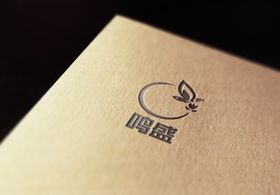 logo 设计 效果图 ps 