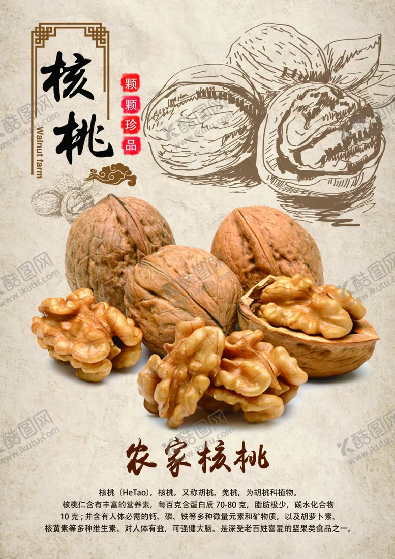 编号：65878304200913553827【酷图网】源文件下载-农家核桃