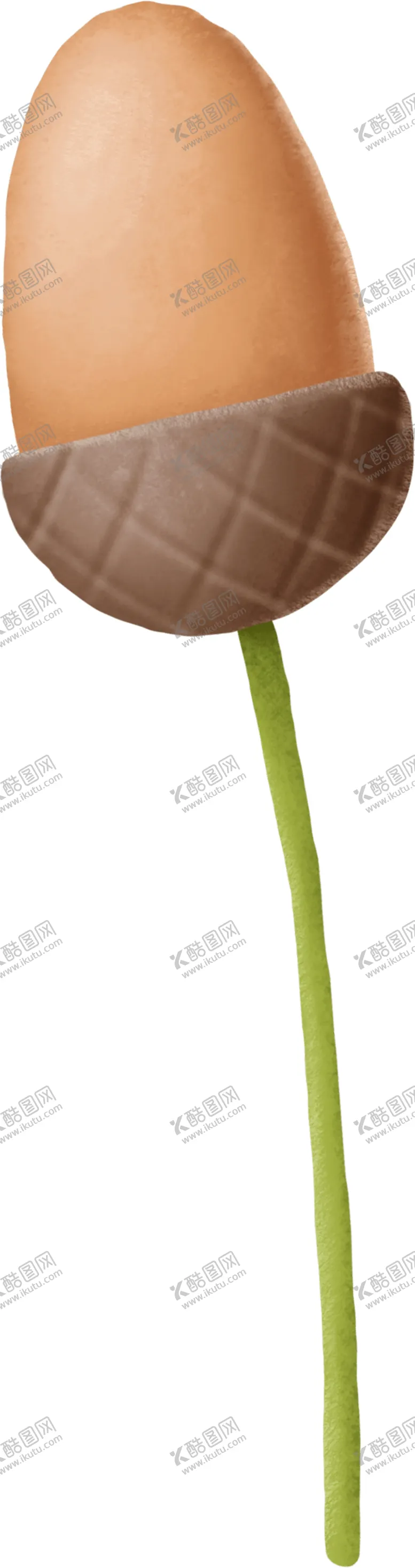 编号：52728202101224323469【酷图网】源文件下载-手绘植物插画