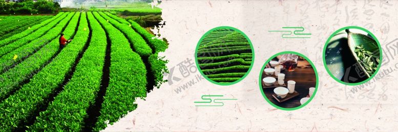 编号：34877305041426247747【酷图网】源文件下载-茶饮灯箱