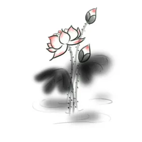 手绘荷花夏季素材夏日海滩夏天素材激爽夏日
