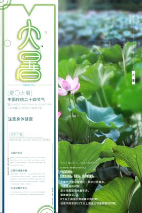 大暑海报